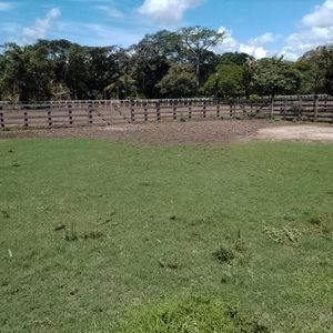 Inmueble # 751 Propiedad En Trinidad