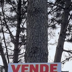 Terreno De 5500 Metros Financiado