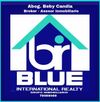 BLUE  realty internacional 