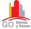 GO Bienes y Raices