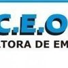 consultora .