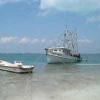 Soledad