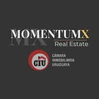 MomentumX Real Estate