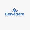 BELVEDERE PROPIEDADES