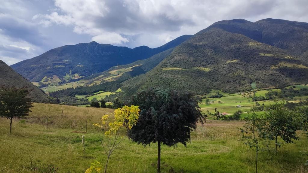 Finca en  Venta en Carrizal, Chiquiza