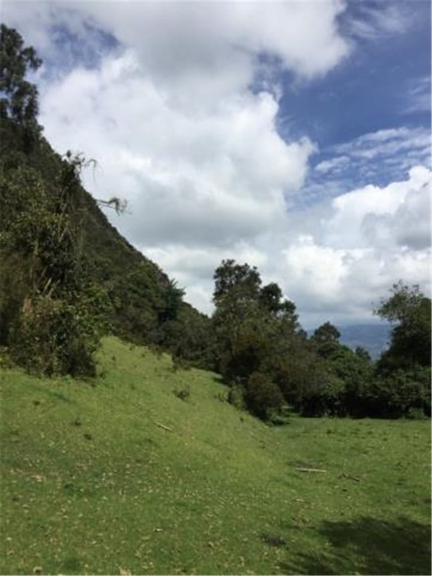 Finca en  Venta en Galdamez, Subachoque