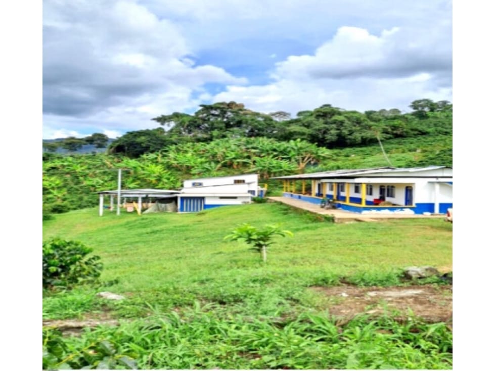 Finca en venta en Samaria, Caicedonia