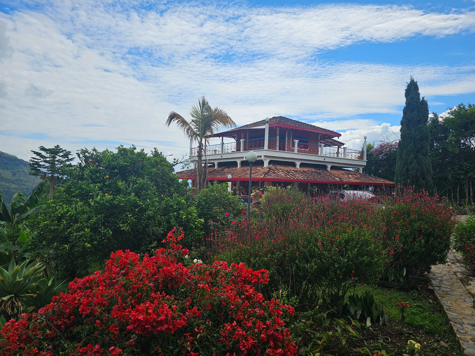 Finca en  Venta en Murrapal, Fredonia