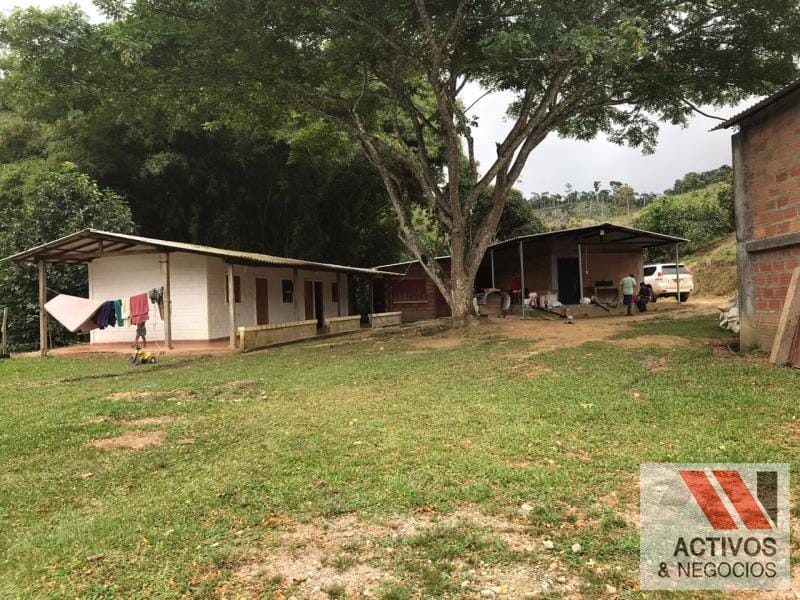 Finca en venta en La floresta, Maceo