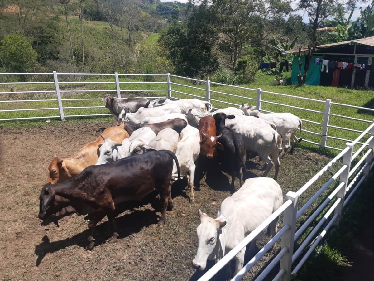 Finca en Venta en Monterredondo, Belalcazar