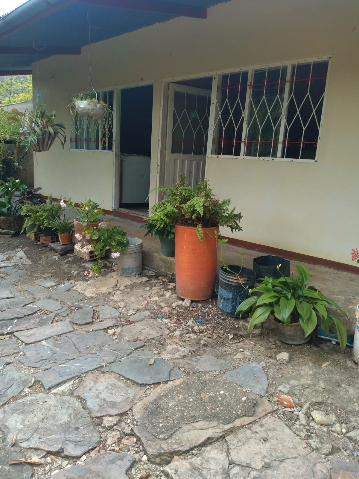 Finca en venta en La chica, Tierralta