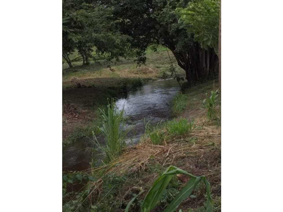 Finca en  Venta en Santo Tomás, Santo tomas