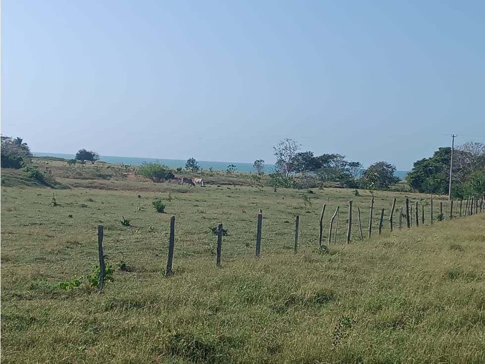 Finca en  Venta en Puerto escondido