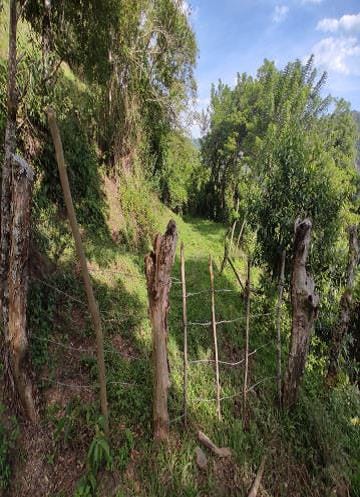 Finca en Venta en El castillo, Pacora