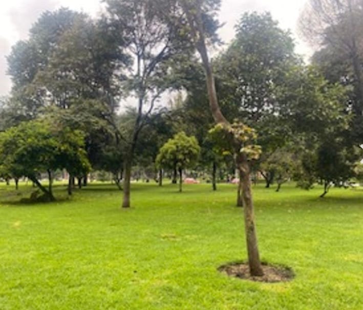 Apartamento en Venta en Colina Campestre, Bogotá