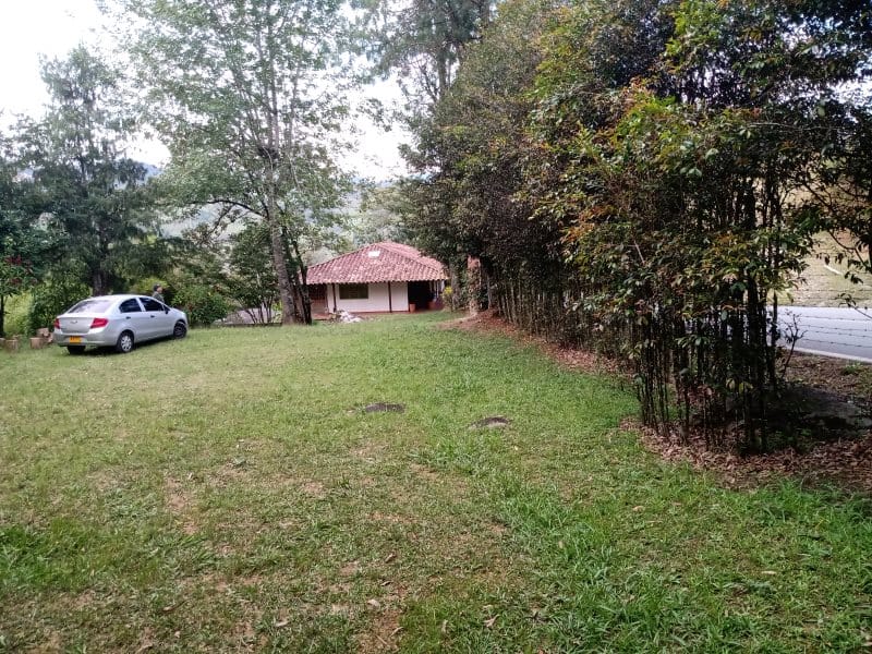Finca en venta en Arango, Concepcion