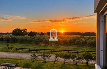 Mega chacra, 750 m2 construidos, 9 dorm, piscina cubierta, 2.700 olivos