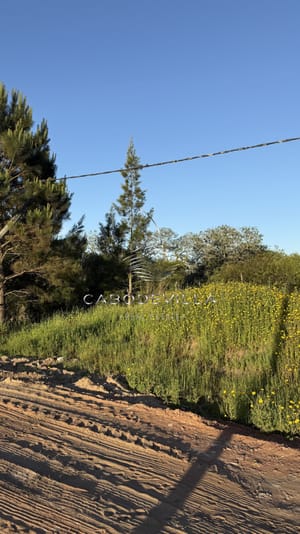 En venta terreno en Piedras del Chileno