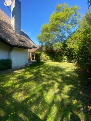 Alquiler de Casas baratas en Punta del Este 