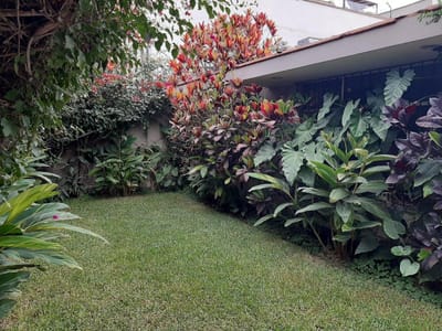 CASA EN VENTA EN CHACARILLA -SAN BORJA /AMPLIA, PISCINA, JARDINES