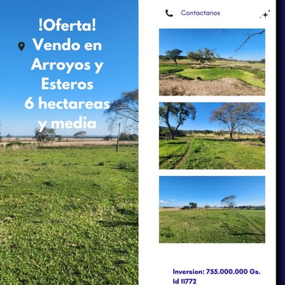 VENDO CAMPO DE 6,5 Ha. EN ARROYOS Y ESTEROS – ZONA ALTA