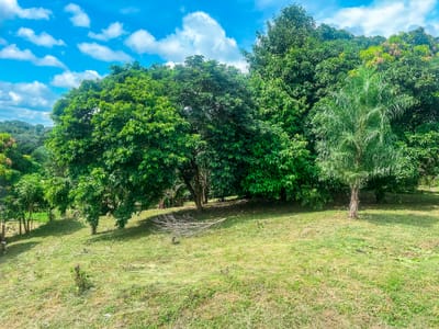 Hermoso Terreno en Buena Vista