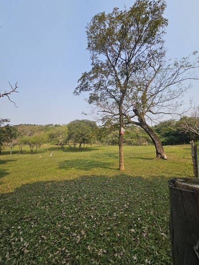 VENDO TERRENO EN ALTOS