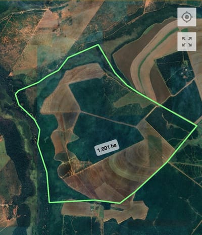 Campo Productivo de 1.001 ha