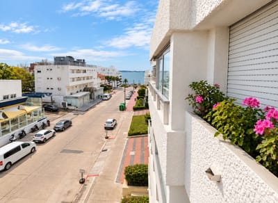 Alquilo Apartamento En Punta Del Este