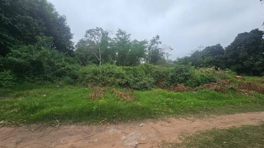 EN VENTA TERRENO EN YPANE - San Isidro - Zona Cervepar EN VENTA