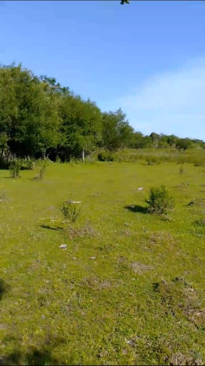  20 HECTÁREAS EN VENTA – VILLARRICA 