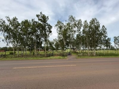 VENDO IMPORTANTE PROPIEDAD DE 1,1 HECTÁREA SOBRE RUTA 5