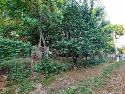 Vendo 5.000 M2 En Aregua - Isla Valle –