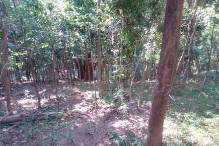 Terreno-Venta-PY 18, La Colmena, Paraguarí