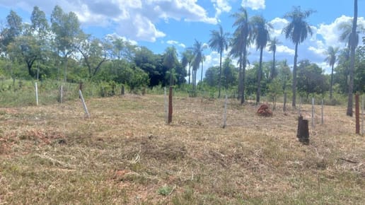 VENDO 2 TERRENOS EN NUEVA COLOMBIA – IDEAL PARA CASA QUINTA
