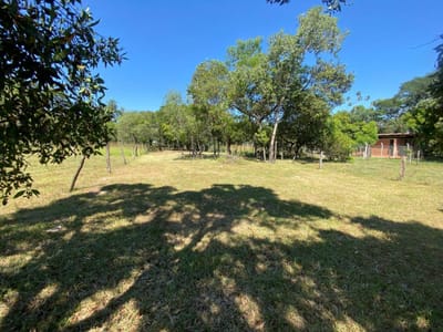 VENDO TERRENO EN SAN BERNARDINO CIERVO CUA