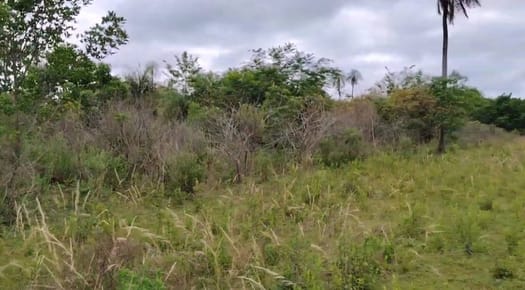 TERRENO EN ATYRA