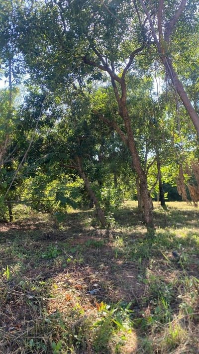 Venta de Terreno en Luque, Central