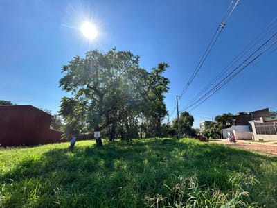 Vendo Terreno En Villa Elisa