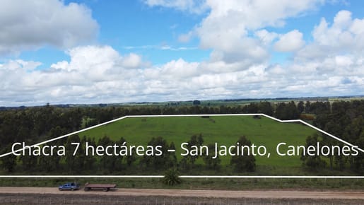 Chacra De 7 Hectáreas — San Jacinto, Canelones  Usd 95.000
