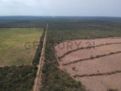 VENTA DE ESTANCIA GANADERA Y AGRÍCOLA EN BOQUERÓN_PIRIZAL-CHACO | ID: 48160