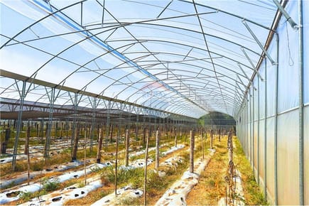 Finca Agrícola - Venta - Nueva Colombia, Paraguay