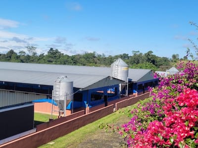 50 Hectáreas Con Infraestructura Agroindustrial