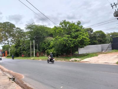 VENDO HECTAREAS EN SAN LORENZO