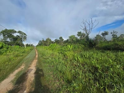 En Venta 5,000 Hectareas De Terreno En El Beni