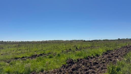 Vendo 120 Ha Para Agropecuaria - San Juan Nepomuceno 