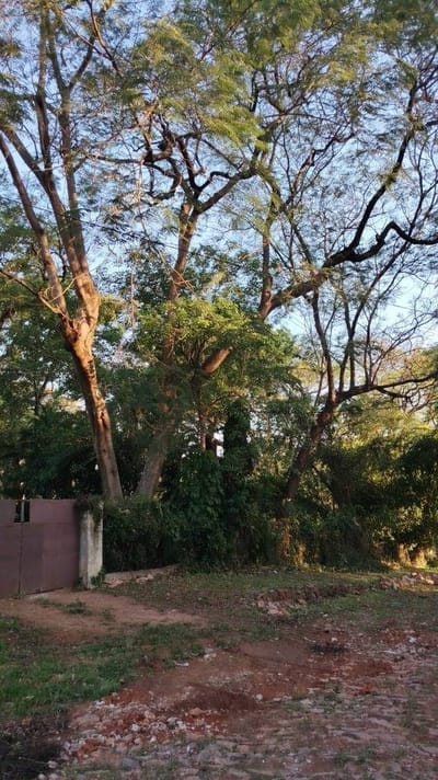Vendo 3 Terrenos Juntos o Separados en Barrio Santa Librada, Asunción.