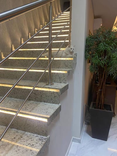EN VENTA PROPIEDAD A ESTRENAR, EN ESQUINA A UNA CUADRA DE SANTA TERESA - ID 9036