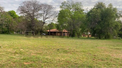 VENDO TERRENO DE 1 HECTÁREA SOBRE AV. AMÉRICO PICCO – VILLA ELISA