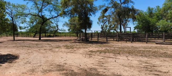 800 HECTAREAS EN BOQUERON CHACO